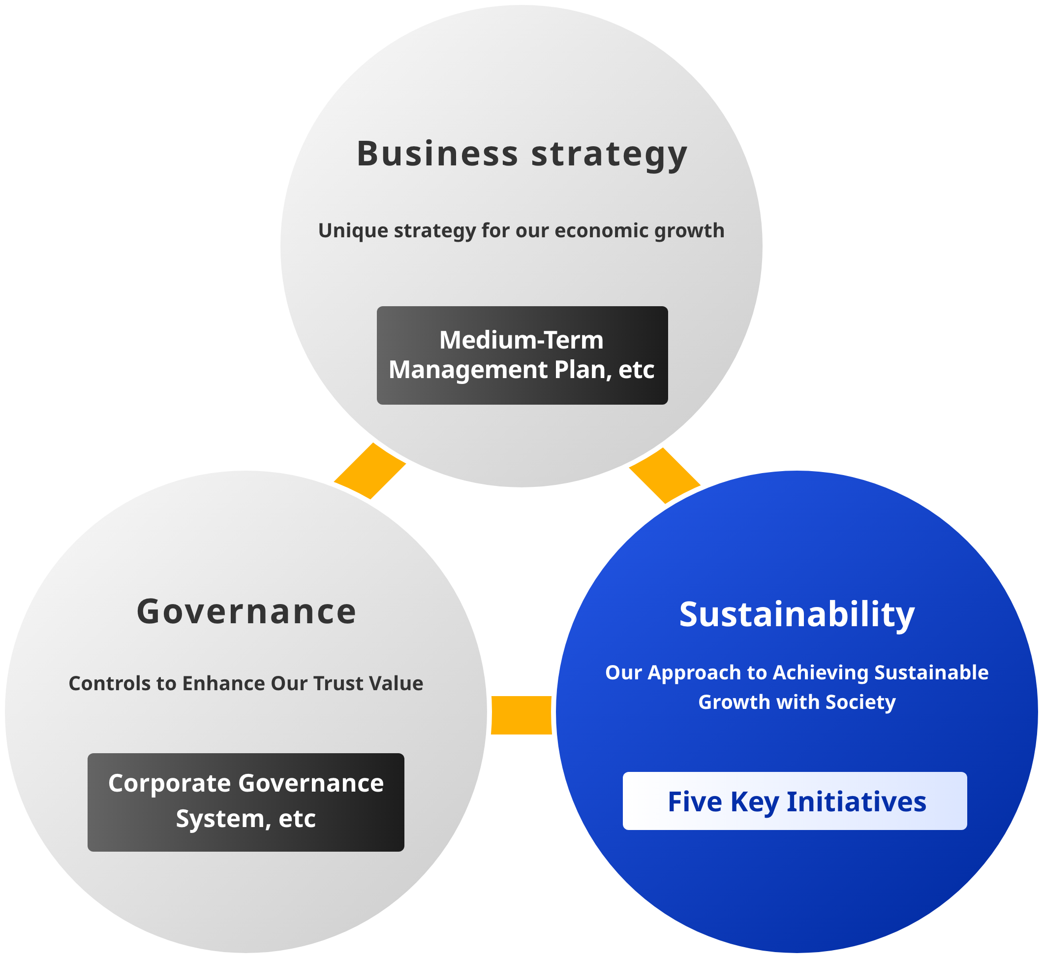 Sustainability Foundation Supporting Business Strategy