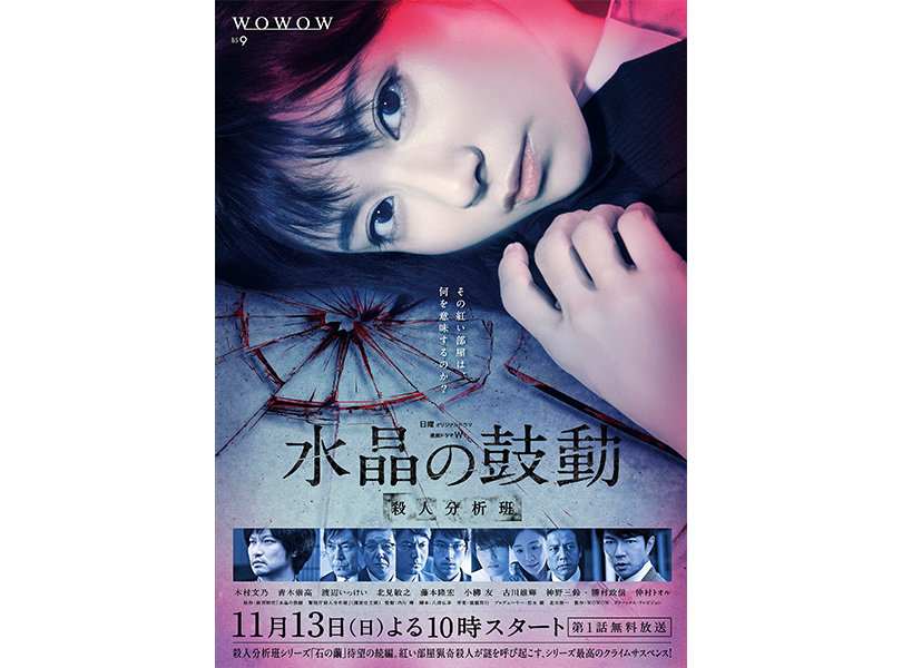 連続ドラマW WOWOW警視庁殺人分析班 石の繭DVD全３巻+ 水晶の鼓動 DVD