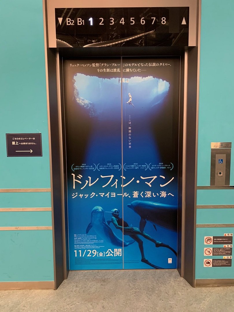 810dolphinman_elevator.jpg