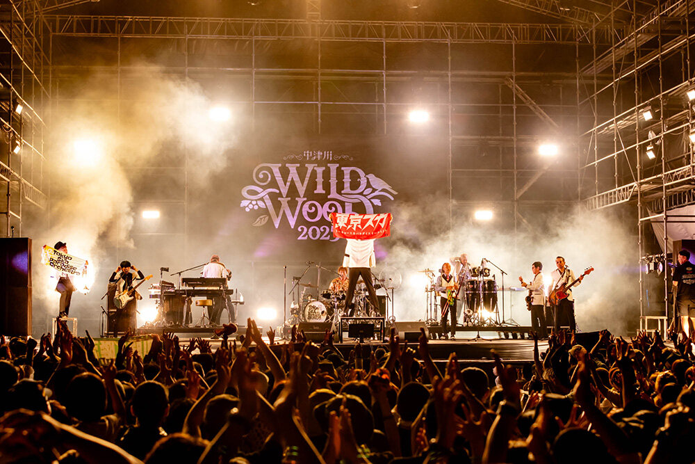 Viola Kam (V'z Twinkle)